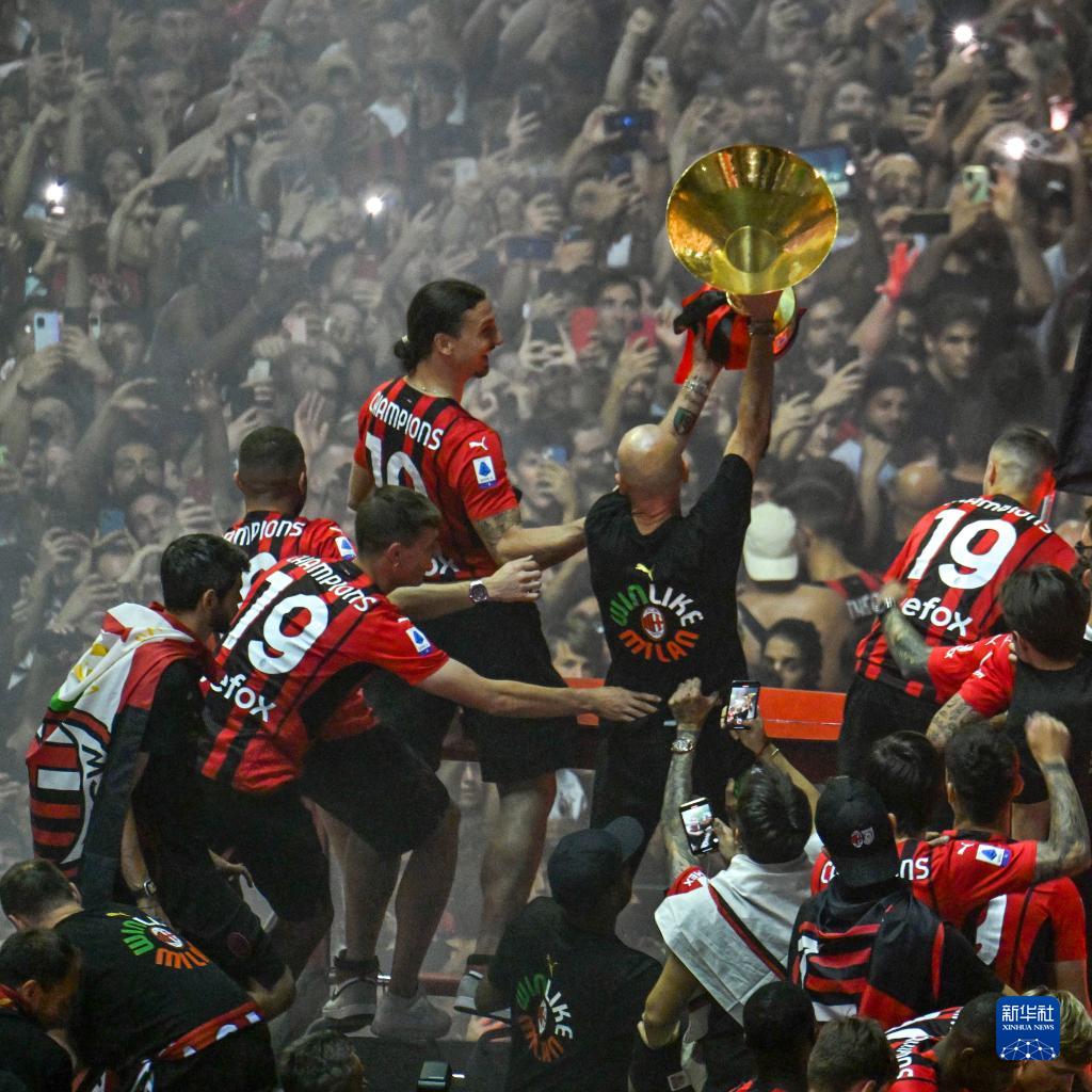 Artificial Stone Trimmer Series